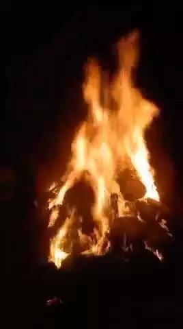 बढ़िया गोयल मैं होली का आयोजन रखा   गया है