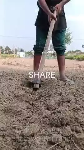 why vegetable insurance? #farmer #insurance #indian #india #faridabad #viral #insurance #delhincr #gorakhpur #bansgaon