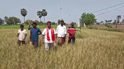 మునగాల: పంట నష్టపోయిన రైతులకు నష్ట పరిహారం ఇచ్చి ఆదుకోవాలి: కలకోవా గ్రామంలో సిపిఐ(ఎం) మండల కార్యదర్శి శ్రీ రాముడు