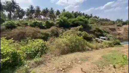 ചിറ്റൂർ: തെങ്ങിൻ തോപ്പുകളിലെ തുള്ളിനന പദ്ധതിയിലെ അഴിമതി, മൂങ്കിൽമടയിൽ കോൺഗ്രസ്‌ ജനകീയ സംഗമം സംഘടിപ്പിച്ചു