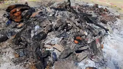 बाबूगंज मतरौली की होली (फाग) 2025 ! Babuganj Matrauli Holi 2025 #vinodjivlogs #holi2025