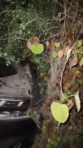 SAHEBPUR KAMAL ME HIAA GHATNA SANHA DALA JANE JO AK RASTA HAI MOR PAR MAR DIYA PIPAR KR GHACHH ME DAKA AK