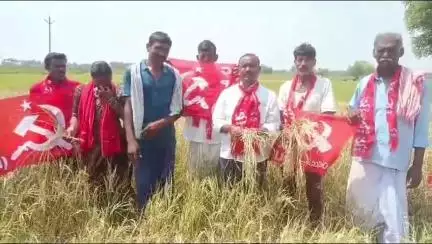 మోతే: మోతే మండలాన్ని కరువు మండలంగా  ప్రకటించాలి:సిపిఎం జిల్లా కార్యదర్శి వర్గ సభ్యులు మట్టిపల్లి సైదులు