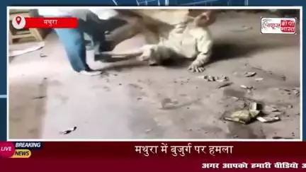 मथुरा में बुजुर्ग पर हमला, घटना का वीडियो सोशल मीडिया पर हुआ वायरल, पुलिस ने शुरू की जांच
#मथुरा #बुजुर्ग #हमला