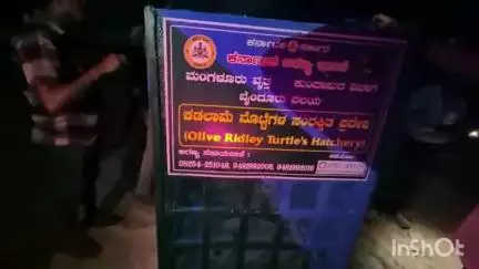 ಬೈಂದೂರು: ಮರವಂತೆ ಹಾಗೂ ತಾರಾಪತಿ ಕಡಲ ಕಿನಾರೆಯಲ್ಲಿ ಕಡಲಾಮೆಗಳ ಮೊಟ್ಟೆಗಳ ಸಂರಕ್ಷಣೆ