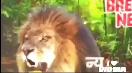 जौनपुर के मड़ियाहूं में कांशीराम की जयंती अपना डेलियास के कार्यालय पर बड़ी धूमधाम के साथ मनाया गया
