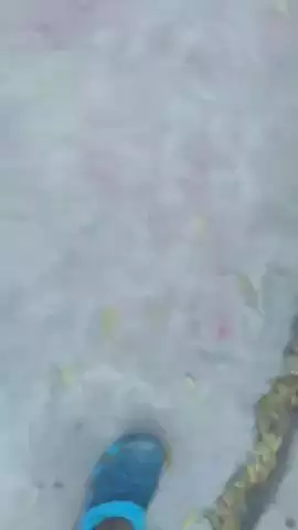 holi happy Bhagalpur kutumGanj
