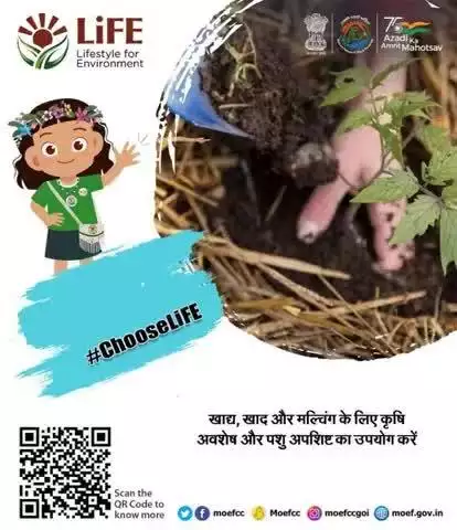 खाद्य, खाद और मल्चिंग के लिए कृषि अवशेष और पशु अपशिष्ट का उपयोग करें।   #MissionLiFE #ChooseLiFE
#railminindia 
#gmblw