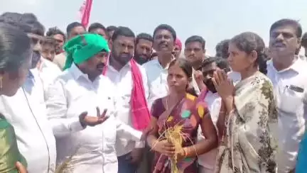 పెన్‌పహాడ్: దుబ్బ తండాలో ఎండిపోయిన పంట పొలాలను పరిశీలించిన ఎమ్మెల్యే జగదీశ్ రెడ్డి, ప్రభుత్వంపై విమర్శలు