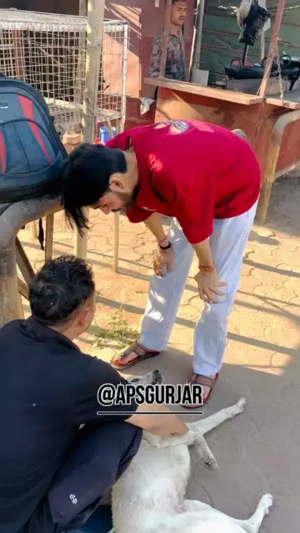 एक महा ऋषि ने कुत्ते में भगवान को देखा

Respect Girls help poor help animals 

#apsgurjar #dog #gwalior