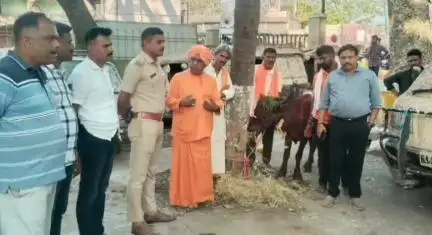 ಹರಿಹರ: ಪಟ್ಟಣದಲ್ಲಿ ಬಲಿ ಕೋಣ ಪೊಲೀಸರ ವಶಕ್ಕೆ
