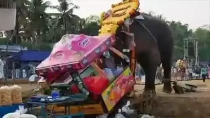 പെരിന്തല്‍മണ്ണ: കൊളത്തൂർ വയമ്പറ്റ പൂരത്തിനിടെ ആന ഇടഞ്ഞു, സ്ഥലത്തെ വാഹനങ്ങൾ ആന മറിച്ചിട്ടു
