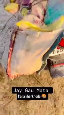 tumhara Dharm hai yah video sab Tak pahunchana aur Gau Mata ki raksha karna Jo sabhi is per Gaur Karen