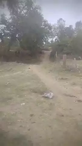 pipariya jajon me shamshan ghat tak pahuchna mushkil aam rasata kharab  prashan chup