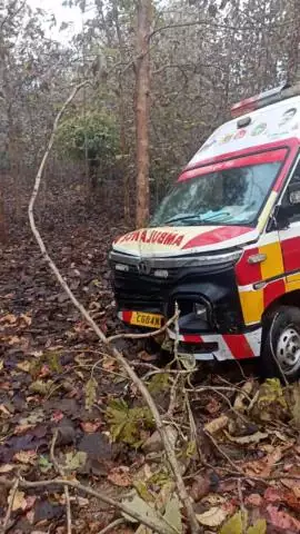 Sidhi se marij chhod ke ambulance hone ja rahi thi chaupal aur khamgadi ke bich jungle mein hua accident driver Ko mirgi