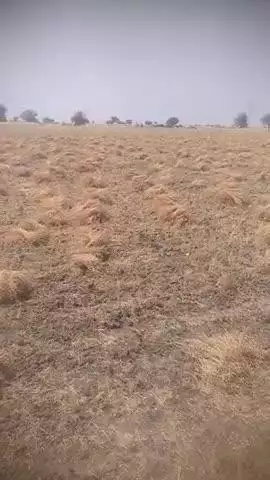 pacs society ki kcc ki date badakar 31 may ki jaye fasal abhi nahi Kati h jis karan kafi kishan paresani ho rahi h
