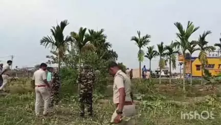 বলাগড়: বলাগড়ের রুকেশপুর গ্রামে নার্সারীর আড়ালে পোস্ত চাষ,খবর পেয়ে তছনছ করলো পুলিশ