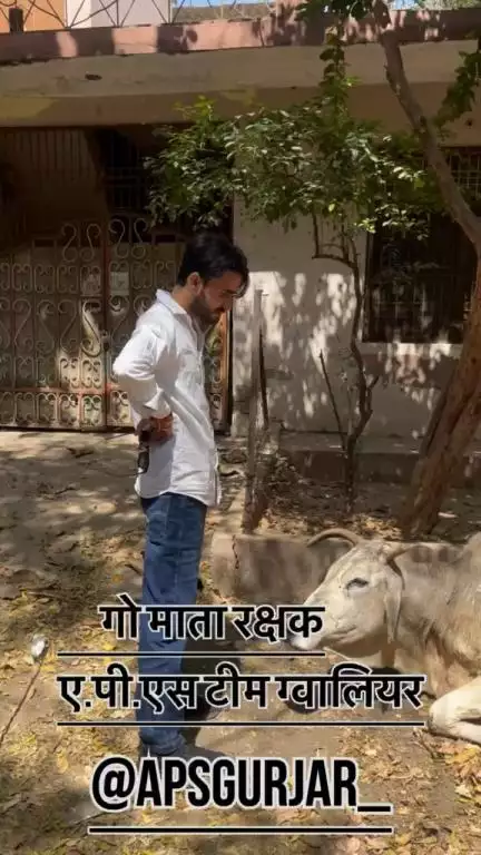 पोस्टमार्डम पानी की जांच सभी की जांच हो चुकी हे जल्दी रिपोर्ट्स आप के सामने होगी जो आरोपी होगा उसको कड़ी से कड़ी सजा दिलाई जाएगी 🙏🏻
#apsgurjar #cow #rip #gwalior #news
