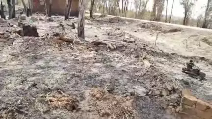 ಚಿಕ್ಕನಾಯಕನಹಳ್ಳಿ: ಕೈಮಾರ ಗ್ರಾಮದಲ್ಲಿ ಅಲೆಮಾರಿಗಳಿದ್ದ 16 ಗುಡಿಸಲುಗಳಿಗೆ ಆಕಸ್ಮಿಕ ಬೆಂಕಿ, ಪರಿಹಾರಕ್ಕೆ ಆಗ್ರಹ