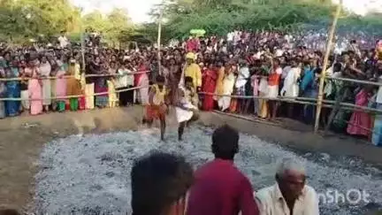செந்துறை: குறிச்சிகுளம் கிராமத்தில் திரெளபதிஅம்மன் கோவில் தேரோட்டம் மற்றும் தீமிதி திருவிழா- திரளான பக்தர்கள் பங்கேற்பு