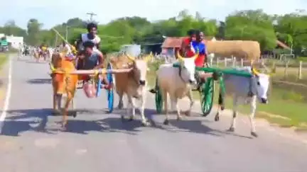 ஆவுடையார் கோவில்: ஈச்சங்குடி கிராமத்தில் ஊர் பொதுமக்களால் நடத்தப்பட்ட மாபெரும் மாட்டு வண்டி எல்கை பந்தய போட்டிகள் நடைபெற்றன