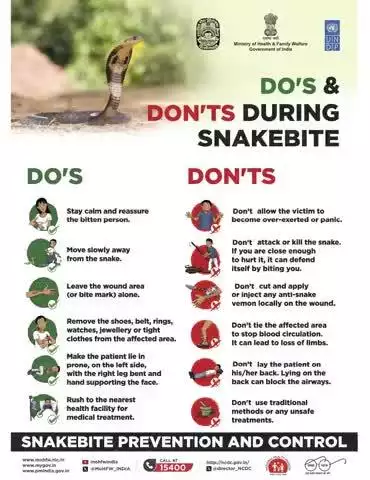 #SnakeBite | Don't let fear bite you twice! 

Remember these crucial DOs and DON'Ts: Stay calm, move away, and seek immediate medical help.