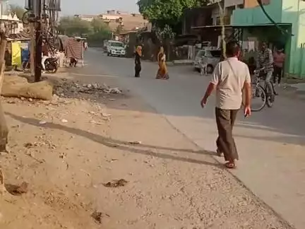 बघेड़ी में कुत्ते की मौत