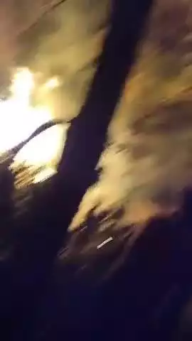 chautrwa thana ke chetra parsauni Bangali colony ka ye ghatna