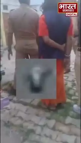 लखनऊ के प्राचीन हनुमान मंदिर मदेयगंज | गौवंश का मिला सर #lucknow #gorakhpur #uttarpradesh #viral #national #bansgaon