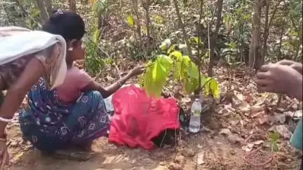 जगन्नाथपुर: जैंतगढ-हाटग्महरिया मार्ग पर डेबराबुरू साई में खड़ी स्कूटी को ट्रेलर ने मारी टक्कर, एक महिला की मौत