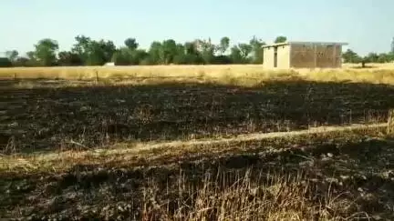 शाहगढ़: शाहगढ़ के हनुमानटौरा में गेहूं की फसल सहित विद्युत मोटर एवं घरेलू सामग्री जलकर खाक ।