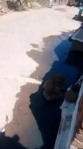 अशोकनगर जिला चंदेरी कांच के मंदिर के पीछे रोड छोड़ दी गई जिस कारण नाली भरगई और मच्छर पैदा हो रही है और बीमारी हो रही है