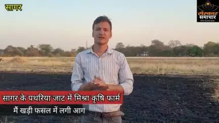 सागर की इस जगह किसान की खड़ी फसल में लगी आग |sagar
#sagar
#sagarnews
#sagarcity
#mpnews
