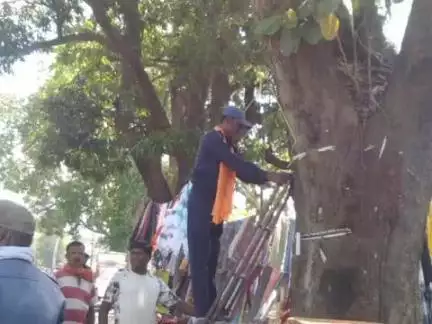सोनहत: कोरिया कलेक्टर के आदेश के बाद बैकुंठपुर शहर में जगह-जगह लगे अवैध पोस्टर हटाए गए।