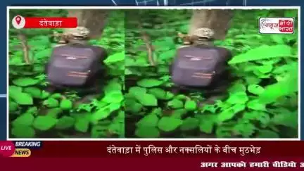 दंतेवाड़ा में पुलिस और नक्सलियों के बीच मुठभेड़, तीन नक्सली ढेर
#दंतेवाड़ा #पुलिस #नक्सलियों #मुठभेड़