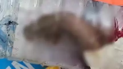 दौंड: दौंड शहरालगत असणाऱ्या बोरावके नगरमध्ये कचऱ्याच्या ढिगाऱ्यातील बरणीत मृत अर्भक