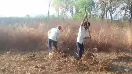 बिश्रामपुर नप पदाधिकारी रमजान के महीने में सकारात्मक पहल की। मार्क्स लाइट शेड की शीघ्र व्यवस्था हो।
समाजसेवी पेंटर जिलान