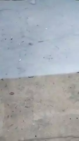 Karma bajar ke kuchh aise halat naliyon ke dukh ki Aaj 15 din se dekhne Ko Mil Raha Hai ismein Na Koi sudhar Ho Pa raha