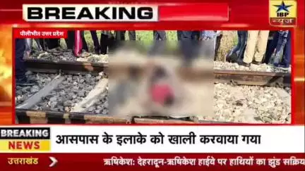 Pilibhit Breaking: मंगलवार सुबह एक दर्दनाक
हादसा हुआ, ट्रेन की चपेट में आने से एक युवक की गई जान
#pilibhit #ibpnews