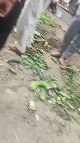 narauli mein sabji sawar Max accident
