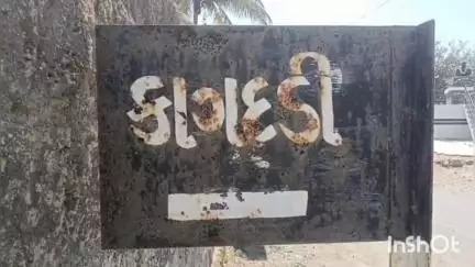 બગસરા: કાગદડી ગામના ખેડૂત દ્વારા 30 વિધામાં તરબૂચનું વાવેતર કરવામાં આવ્યું