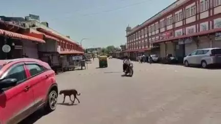 गंभीर नदी को स्वच्छ बनाने की मुहिम हुई तेज, श्रीमहावीरजी कस्बे के व्यापारियों ने बाजार बंद कर धरनार्थियों का किया समर्थन
