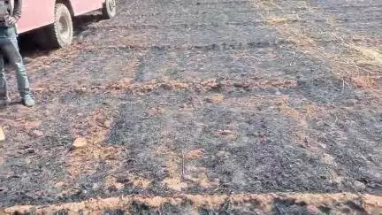 आज दोपहर में खेतों में जो आग लगी उसी का सेकंड पार्ट
