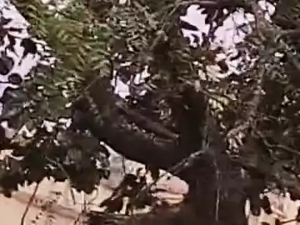 मन्दसौर रेल्वे स्टेशन रिजर्वेशन काउंटर पर जाने वाला रास्ते के गेट पर लगा है ताला ?? #रेलवे #मंदसौर #सांसद