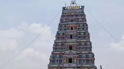 இளையாங்குடி: தாயமங்கலம் முத்துமாரியம்மன் கோவிலில் ஏராளமான பக்தர்கள் சாமி தரிசனம்