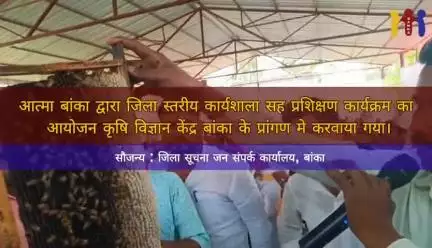 मधुमक्खी पालन दो दिवसीय कार्यशाला।
#IPRD_Bihar #CMBihar #CMNitishKumar #BiharGovernment #Bihar