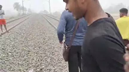 रसैल वाइपर जहरिला सांप है झाड़ फुक अंधविश्वास है