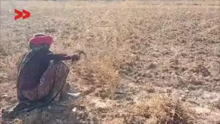 ग्राम सनोरा ओर इस क्षेत्र के अन्य ग्राम में जल स्तर नीचे जाने से गंभीर समस्या