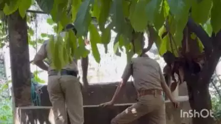 കാഞ്ഞിരപ്പള്ളി: മുണ്ടക്കയം ടൗണിന് സമീപം കിണറ്റിൽ അജ്ഞാത മൃതദേഹം