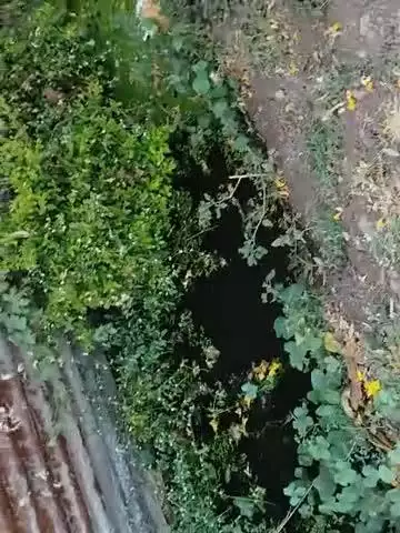 नरीमन पॉइंट कुक्षी में मूलभूत सुविधाओं से वंचित कॉलोनी वासियों ने बताया